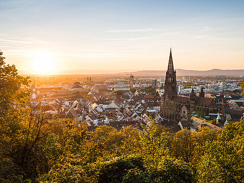 Blick auf Freiburg Innenstadt